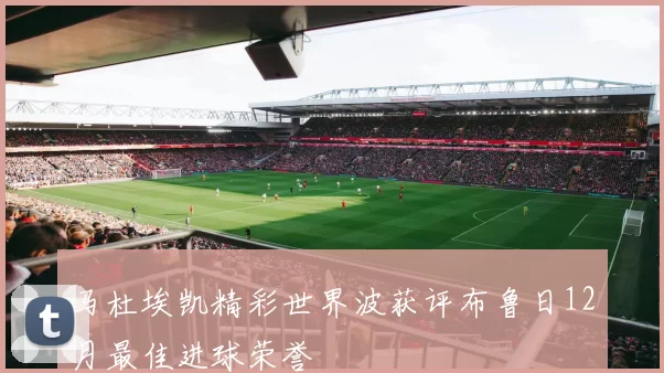 马杜埃凯精彩世界波获评布鲁日12月最佳进球荣誉