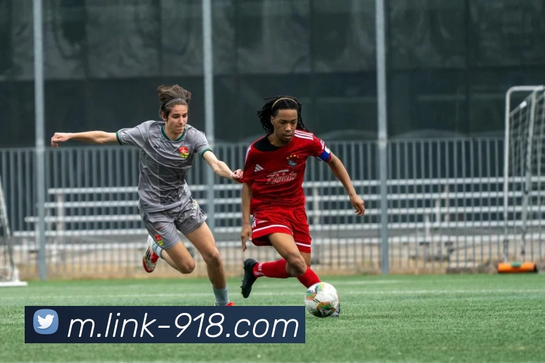 博天堂APP 封面图